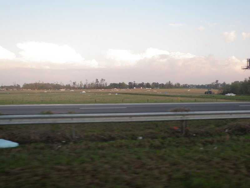 Image P4160295.JPG