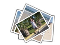 Palm Coast album picture