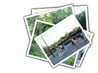 Animal Kingdom album picture
