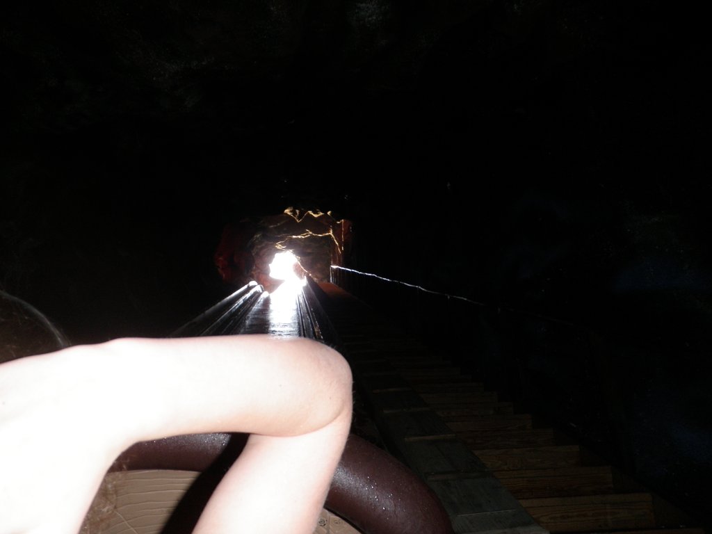 Image P4210417.JPG